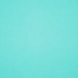 Meet your Posher, Joy